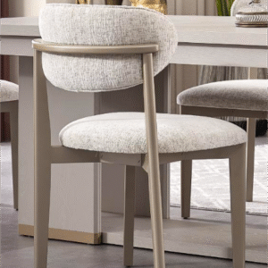 Alara Dining Chair - Image 2